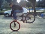 Biker man 84
